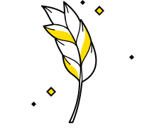 frame-80