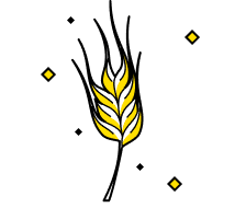 frame-81