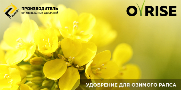 924e149af069b8ea323a809fbb1171d4_L